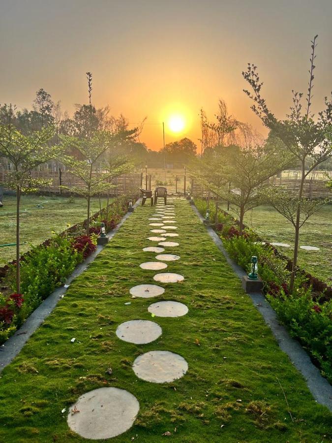 Homestay Jewel Of Jungle Tala (Madhya Pradesh)