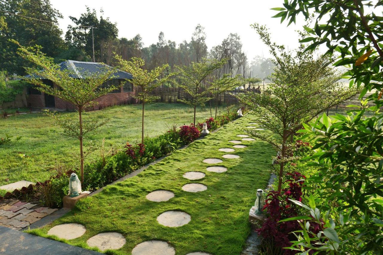 Jewel Of Jungle Tala (Madhya Pradesh)